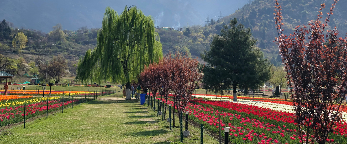 Kashmir Ladakh Tour Packages, Srinagar Leh Ladakh Tour Packages, Manali Ladakh Srinagar Tours, Kashmir with Leh Ladakh Packages, Gulmarg with Kargil and ladakh Tours, Leh ladakh holiday packages, book kashmir and ladakh group packages 