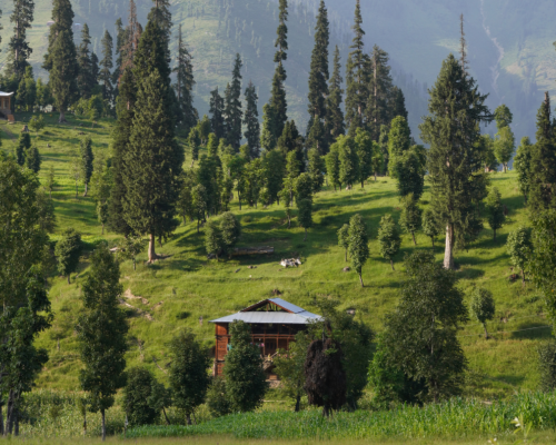 Ladakh Budget Tour Packages, Ladakh Bike Holiday , Book Ladakh Tour, Leh Ladakh Tours, 